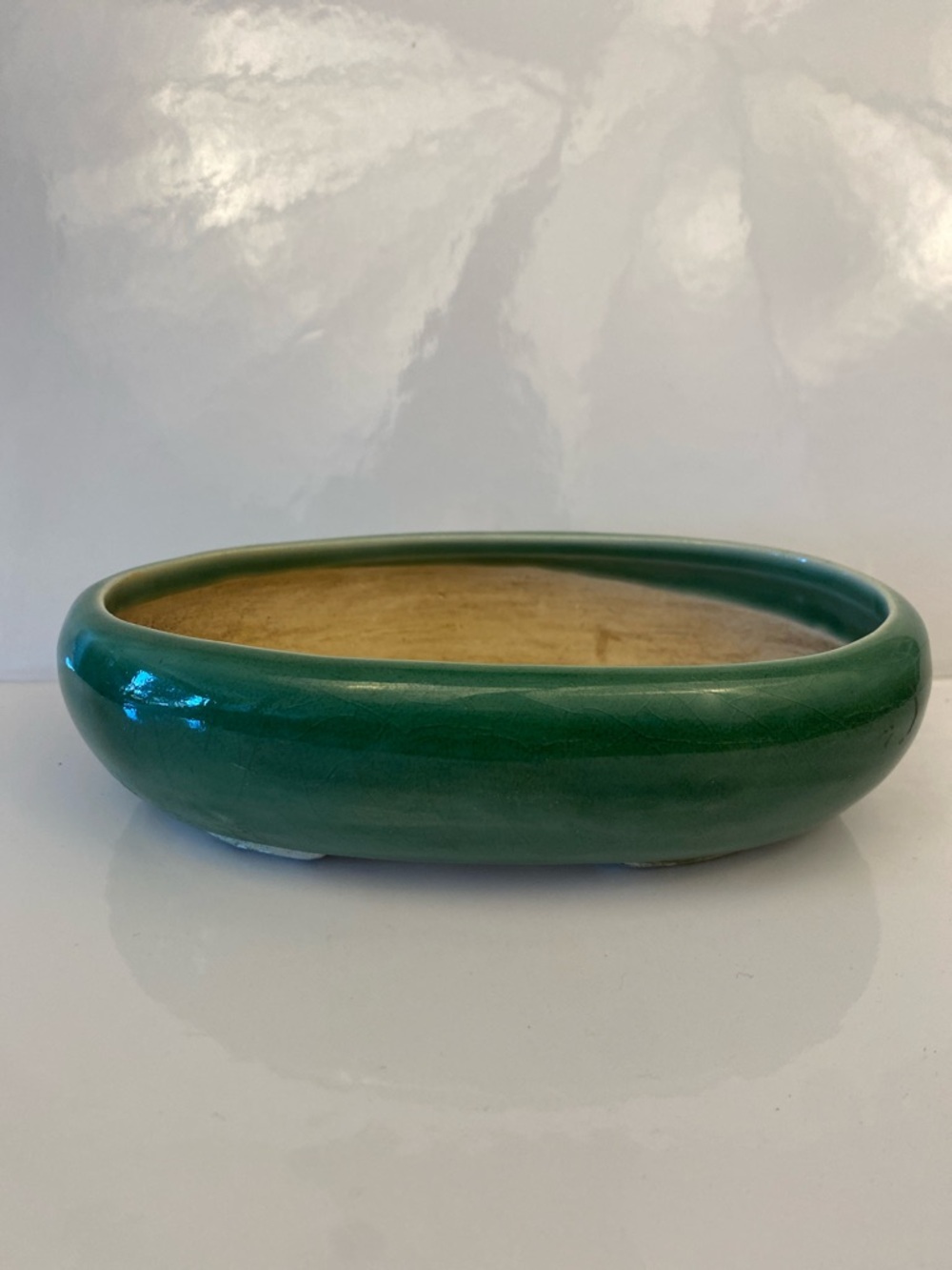 Vintage Green Oval Ceramic Succulent Bonsai Planter